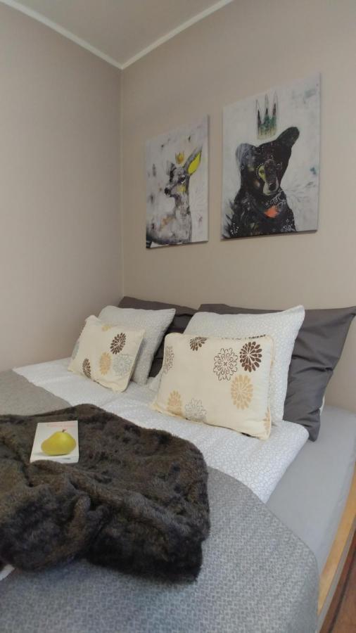 Apartamenty Nova Na Krakowskiej No 1 Bielsko-Biala Luaran gambar